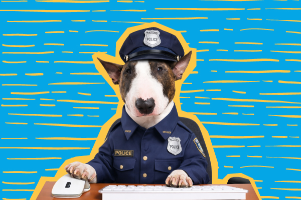 Seguridad y Privacidad Garantizadas